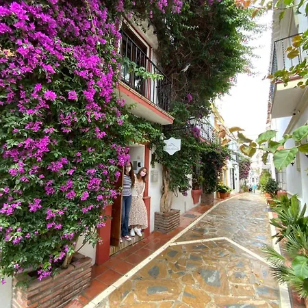 Estudio Venus Appartement *